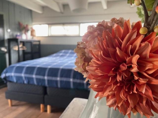 Holiday Cottage De Garage Inn Hank Esterno foto