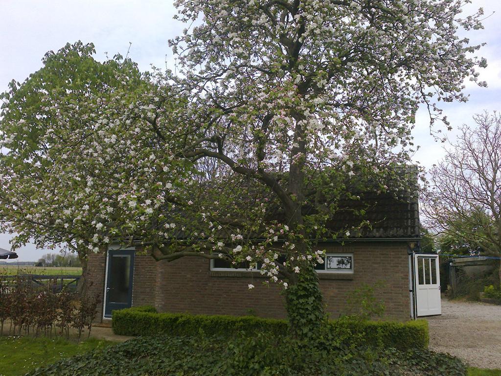 Holiday Cottage De Garage Inn Hank Esterno foto